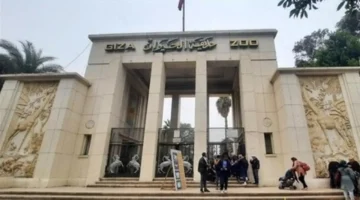 افتتاح مزدوج.. تعرف على موعد إعادة فتح حديقة الحيوان بعد تجديد شامل يغير الوجه بالكامل